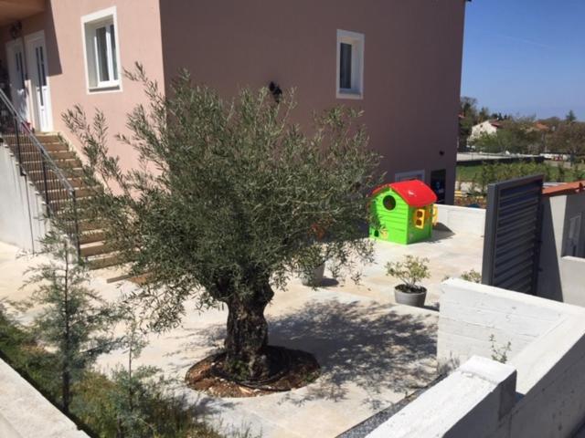Middle Istra Apartment Pazin Bagian luar foto